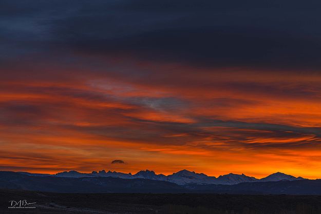 Magnificent Color. Photo by Dave Bell.