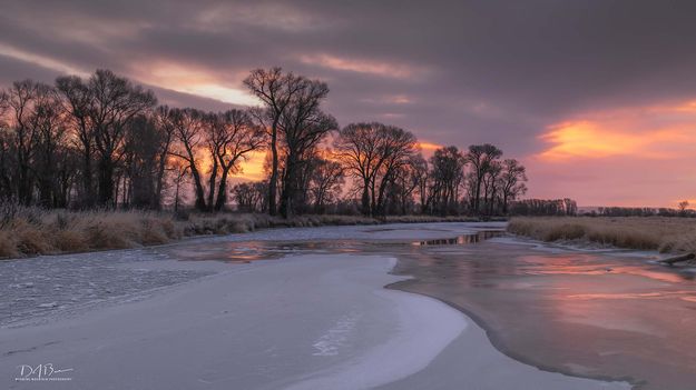 Morning Glow. Photo by Dave Bell.