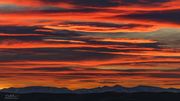 Wyoming Peak Red-December 4. Photo by Dave Bell.