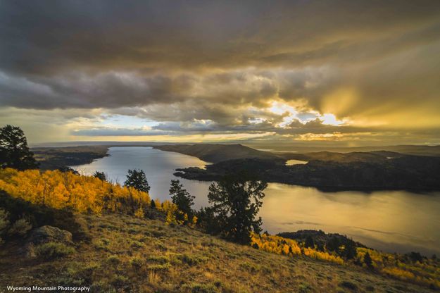 Stormy Light. Photo by Dave Bell.