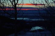 Silouetted Aspens In Sunsets Last Gasp. Photo by Dave Bell.