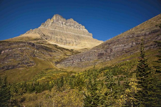 Mt. Wilbur From Swiftcurrent Pass Trail. Photo by Dave Bell.