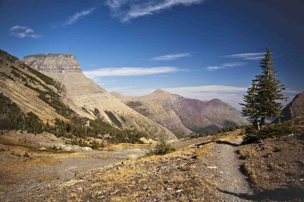 View From Swiftcurrent Pass. Photo by Dave Bell.