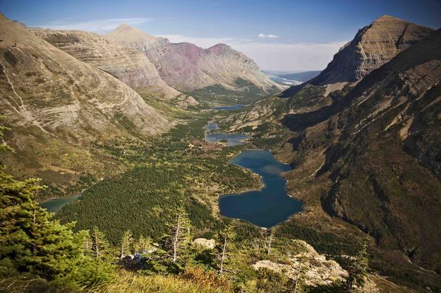 Swiftcurrent Valley Vista. Photo by Dave Bell.