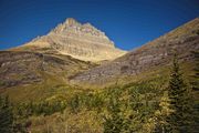 Mt. Wilbur From Swiftcurrent Pass Trail. Photo by Dave Bell.