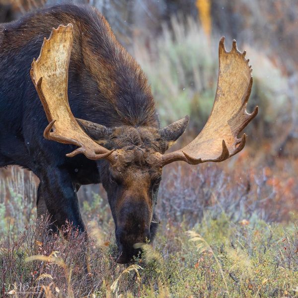 Keep Your Distance. Photo by Dave Bell.