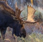 Such Beauty. Photo by Dave Bell.