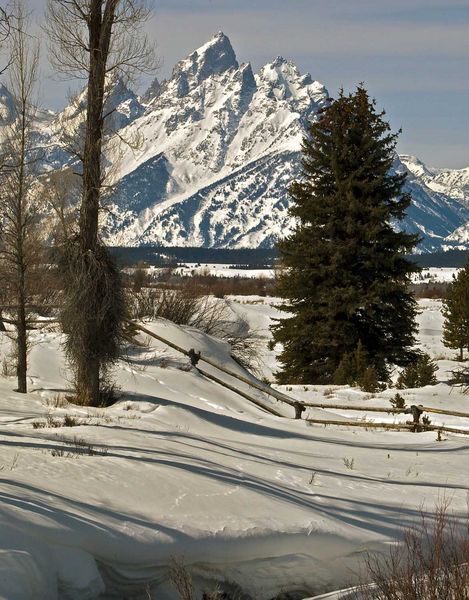 Winter Scene. Photo by Dave Bell.