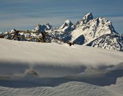 Buried Buckrail. Photo by Dave Bell.