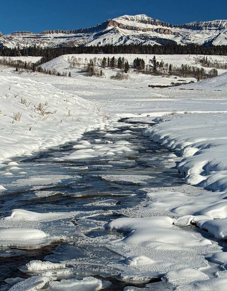 Nearly Frozen Dell Creek. Photo by Dave Bell.