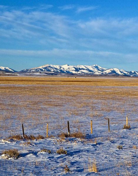 Early Morning On The Range. Photo by Dave Bell.