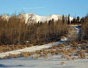 Snowy Mountain Road. Photo by Dave Bell.