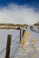 County Road. Photo by Dave Bell.