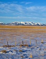 Early Morning On The Range. Photo by Dave Bell.