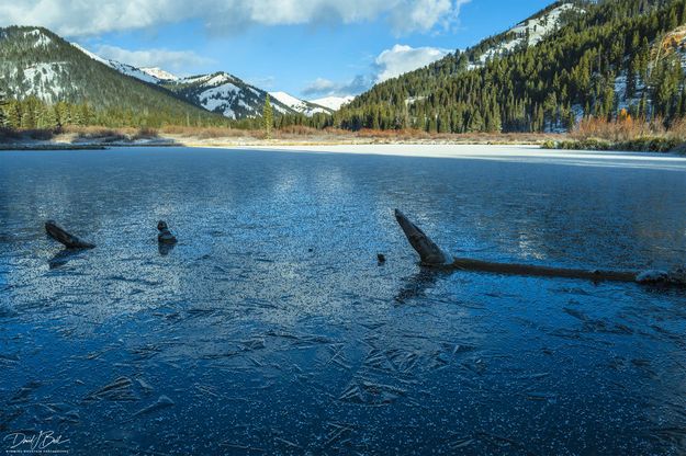 Frozen. Photo by Dave Bell.