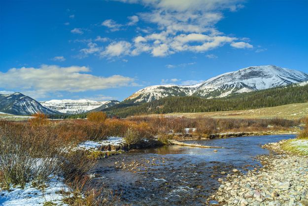 Cottonwood Creek. Photo by Dave Bell.