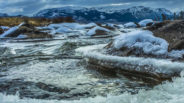 Icy Shores. Photo by Dave Bell.