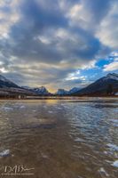 Fresh Winter Ice. Photo by Dave Bell.