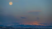 McDougall And The Moon. Photo by Dave Bell.