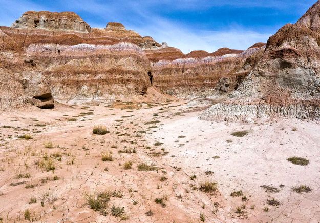 Painted Rocks. Photo by Dave Bell.