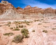 Desert. Photo by Dave Bell.