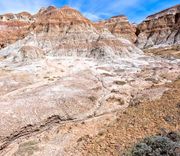 Desert Scenery. Photo by Dave Bell.