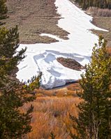 Cottonwood Creek. Photo by Dave Bell.