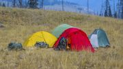 Desert Camp. Photo by Dave Bell.