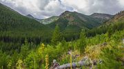 Climbing To White River Pass. Photo by Dave Bell.