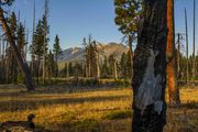 Burn Scars On Murphy Flats. Photo by Dave Bell.