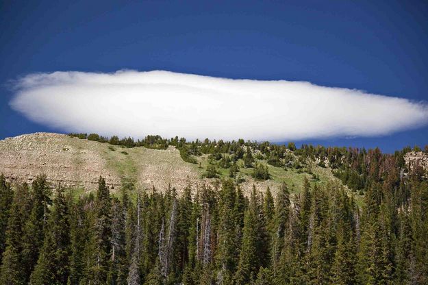 Lenticular Cloud. Photo by Dave Bell.