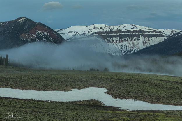 Foggy Morning. Photo by Dave Bell.