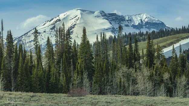 Mt. McDougall. Photo by Dave Bell.