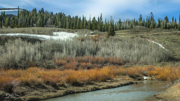 Spring Colors. Photo by Dave Bell.