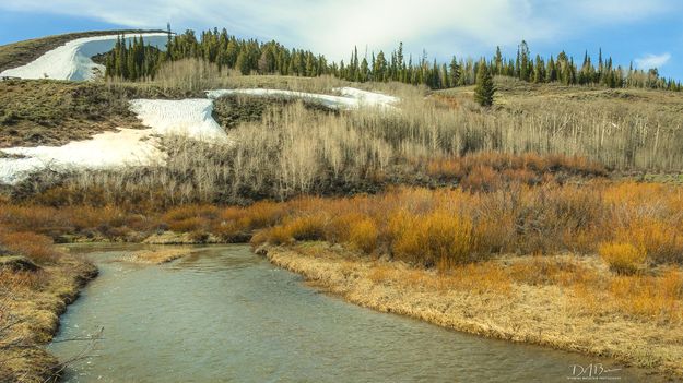 Spring Up The Cottonwoods. Photo by Dave Bell.