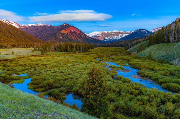 Cottonwood Valley Early Morning. Photo by Dave Bell.