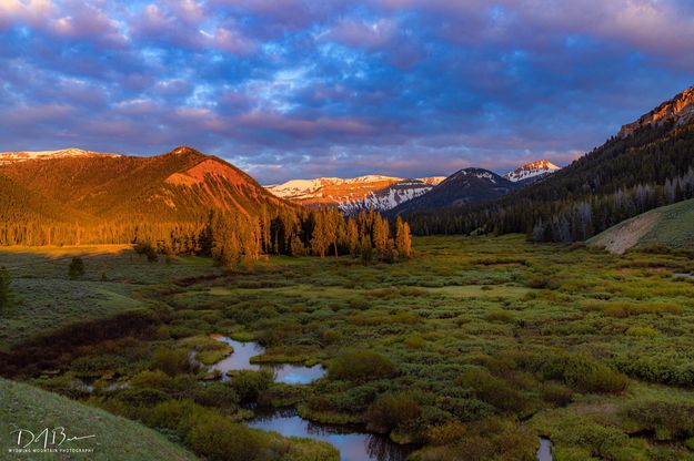 Morning Beauty. Photo by Dave Bell.