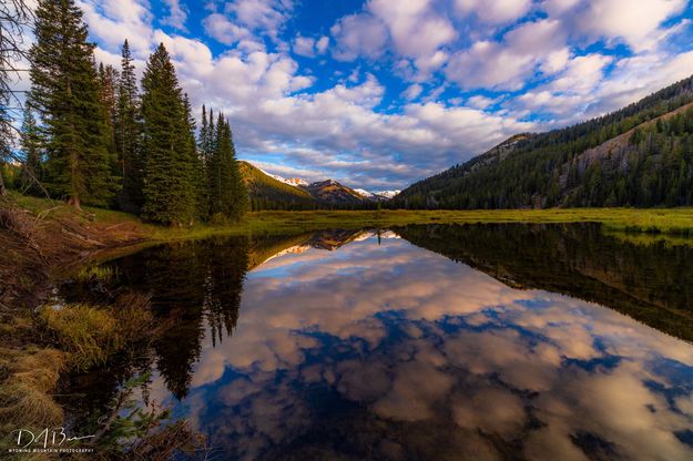 Beautiful Cottonwood Pond. Photo by Dave Bell.