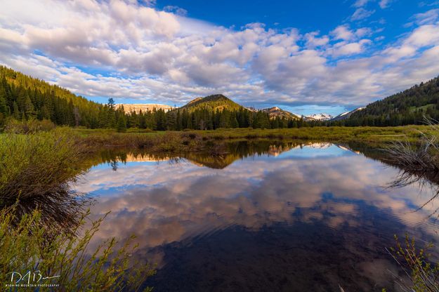 Morning Calmness. Photo by Dave Bell.