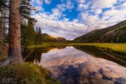 Cottonwood Pond Reflections. Photo by Dave Bell.