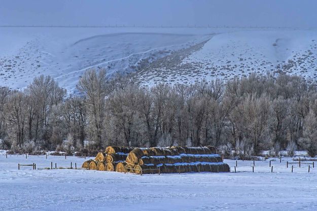 Morning Stack. Photo by Dave Bell.