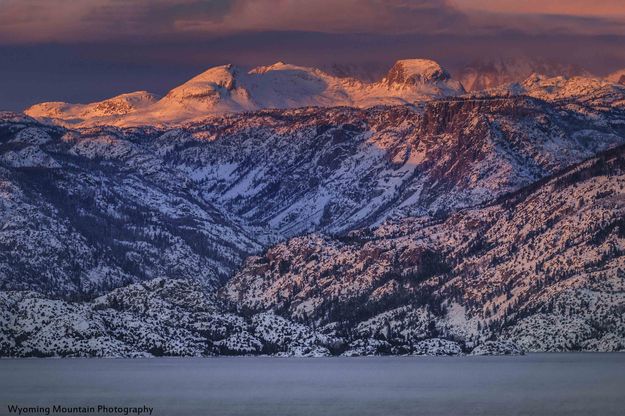 Pretty In Pastel. Photo by Dave Bell.