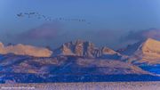 Frigid Skies. Photo by Dave Bell.