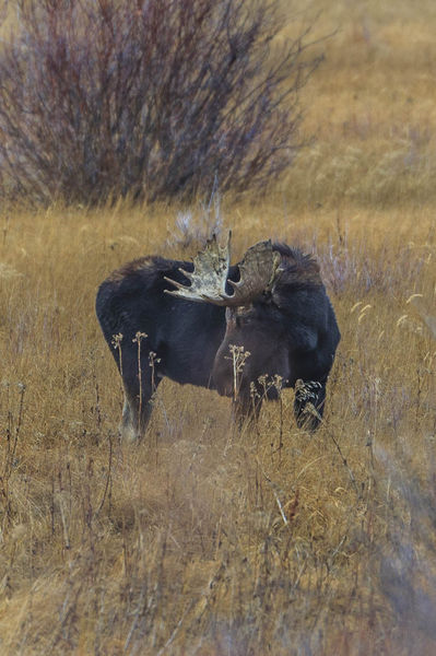 Pause. Photo by Dave Bell.