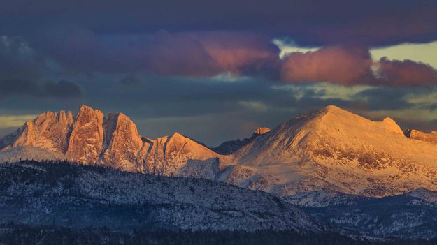 Bonneville And Raid. Photo by Dave Bell.