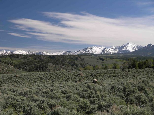 Southern Range  Peaks--Vicinity of Big Sandy Ranch. Photo by Dave Bell.