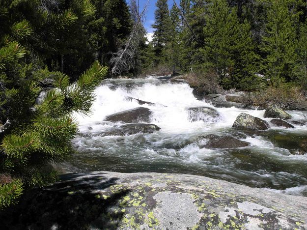 Roaring Big Sandy Creek!. Photo by Dave Bell.