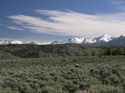 Southern Range  Peaks--Vicinity of Big Sandy Ranch. Photo by Dave Bell.