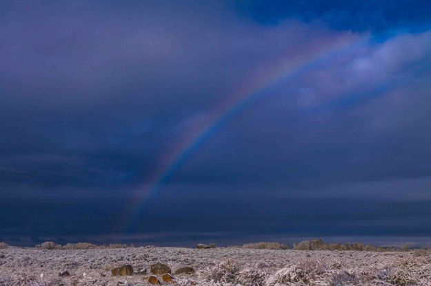 A Little Snow And A Little Color. Photo by Dave Bell.