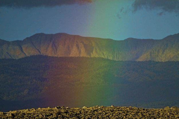 Rainbow Touching. Photo by Dave Bell.